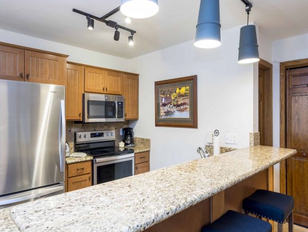 Steamboat Springs Condo 953275