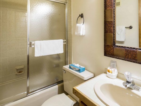 Steamboat Springs Condo 953275