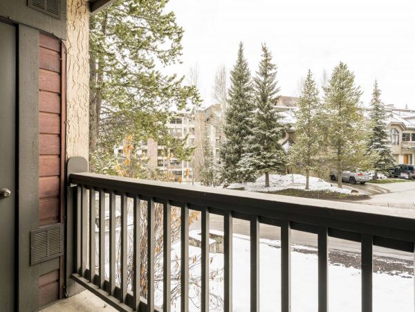 Steamboat Springs Condo 953275