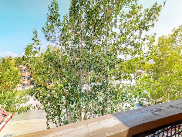 Breckenridge Condo 953277