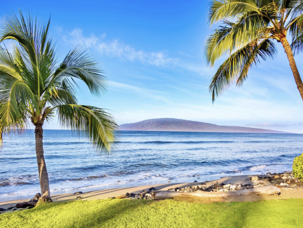 Maui Luxury Oceanfront 3 Bedroom Townhomes with Sweeping Views - additional view, photo 2