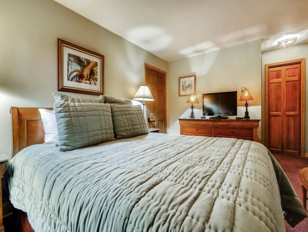 Steamboat Springs Condo 953283