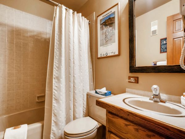 Steamboat Springs Condo 953283