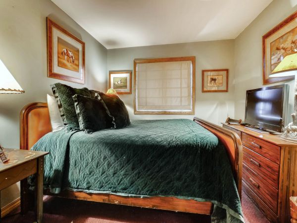 Steamboat Springs Condo 953283