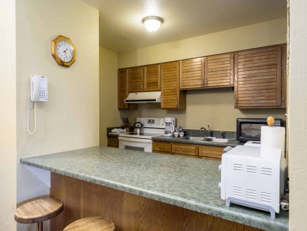 Steamboat Springs Condo 953284