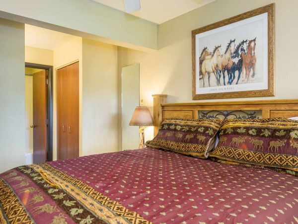 Steamboat Springs Condo 953284