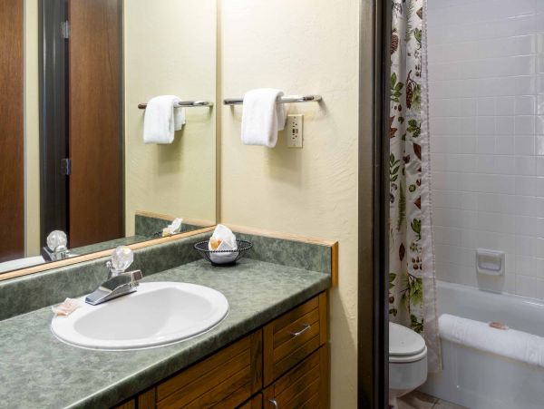 Steamboat Springs Condo 953284