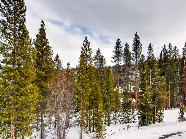 Breckenridge Home 953285