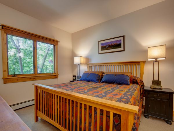 Steamboat Springs Condo 953286