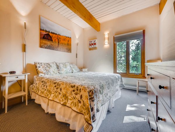 Steamboat Springs Condo 953296