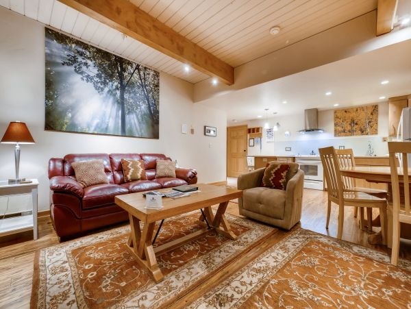 Steamboat Springs Condo 953296