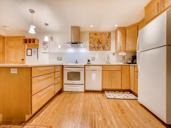 Steamboat Springs Condo 953296