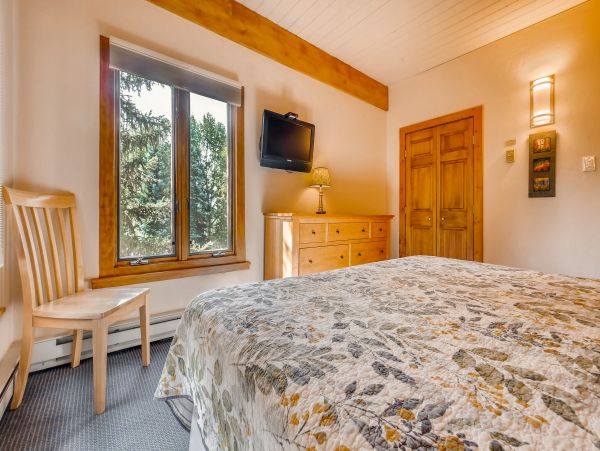 Steamboat Springs Condo 953296