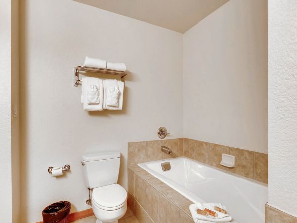 Breckenridge Condo 953297