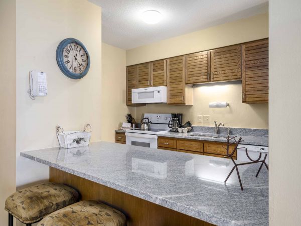 Steamboat Springs Condo 953307