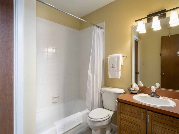 Steamboat Springs Condo 953307
