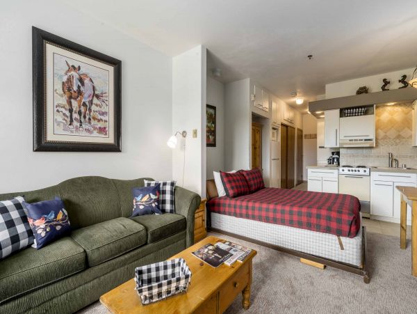 Steamboat Springs Condo 953310