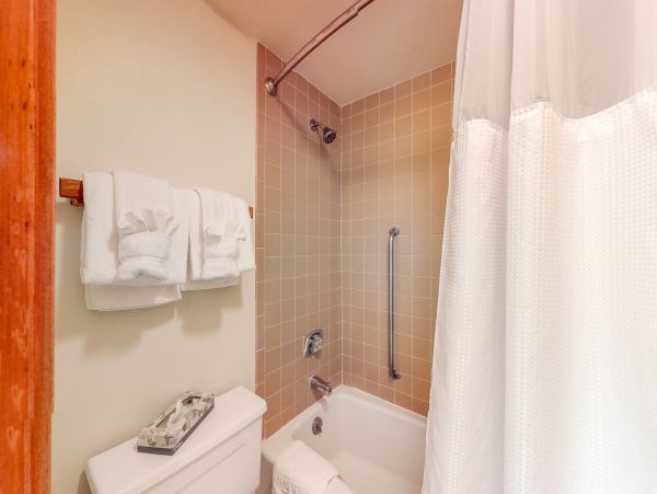 Breckenridge Condo 953321