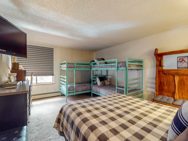 Breckenridge Condo 953321