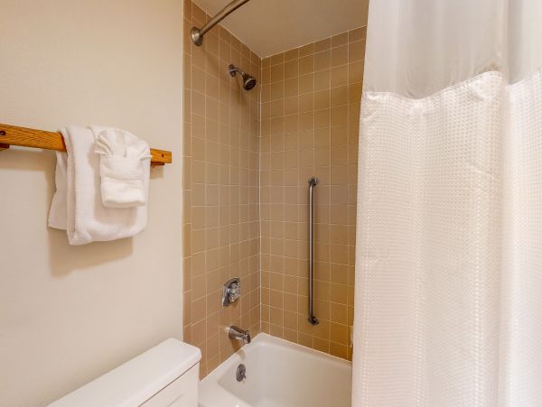 Breckenridge Condo 953321