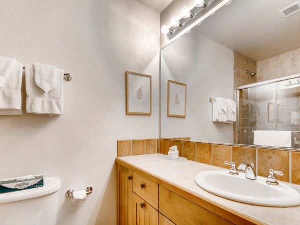 Steamboat Springs Condo 953328