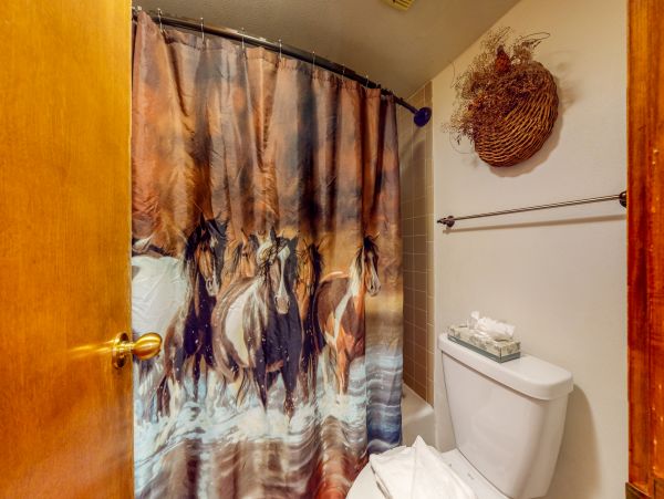Breckenridge Condo 953329