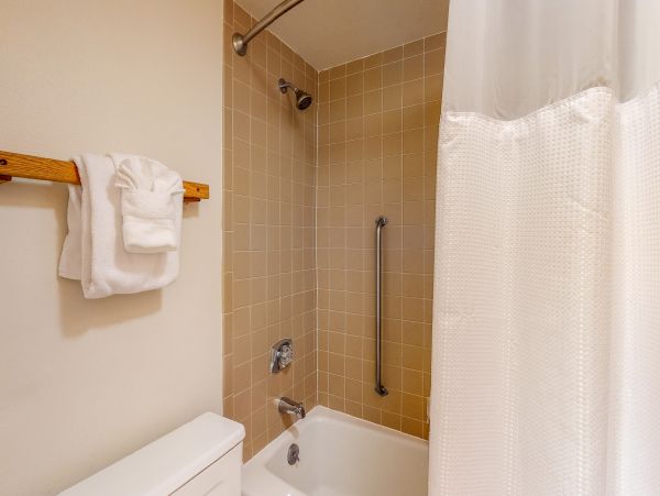 Breckenridge Condo 953333