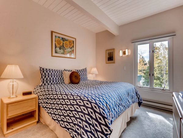 Steamboat Springs Condo 953334