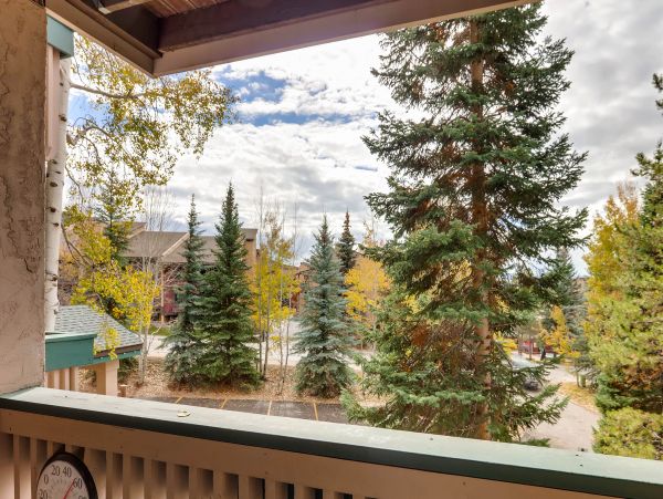 Steamboat Springs Condo 953334