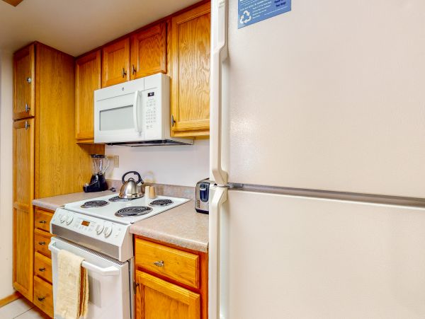 Breckenridge Condo 953337