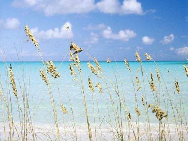 Beaches Of South Walton Home 953428