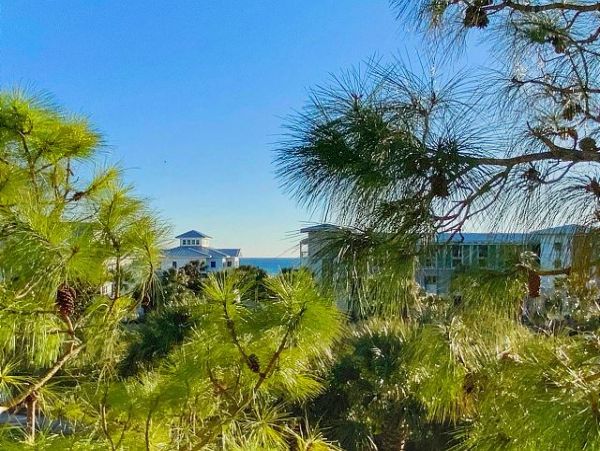 Beaches Of South Walton Condo 953431