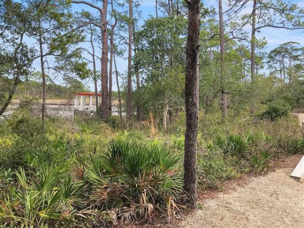 Beaches Of South Walton Home 953433