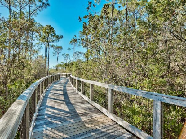 Beaches Of South Walton Condo 953565