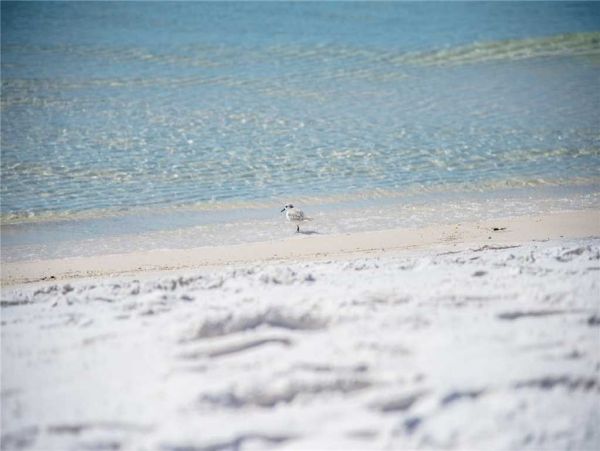 Beaches Of South Walton Home 953711