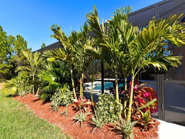 Orlando Home 953857