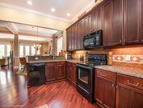 Orlando Home 953866