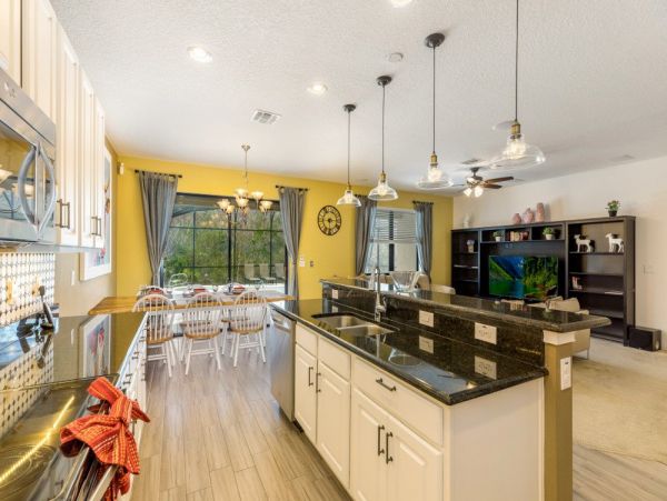 Orlando Home 953869