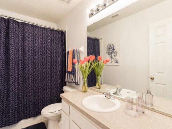 Orlando Home 953902
