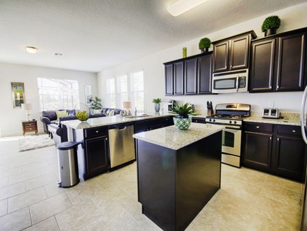 Orlando Home 953935