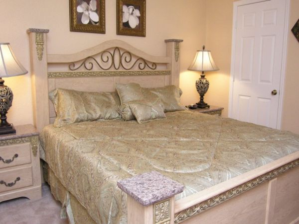 Orlando Home 953979