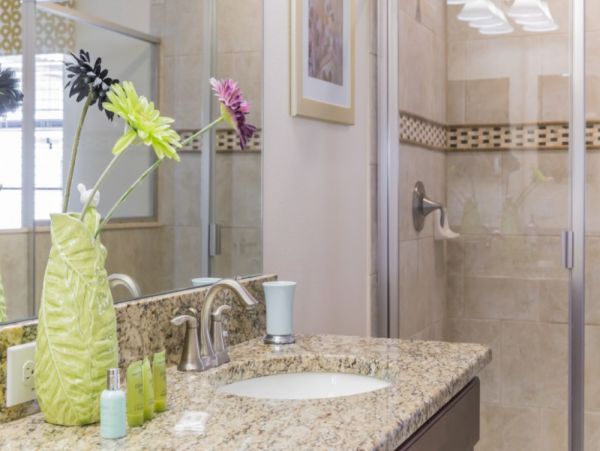 Orlando Home 953996