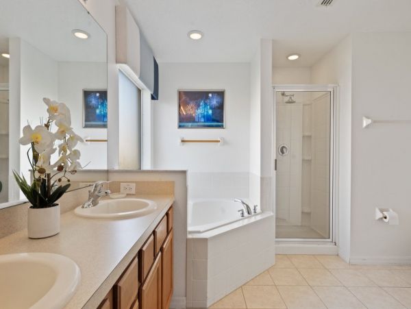 Orlando Home 954029