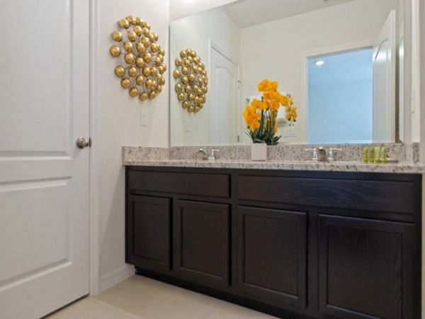 Orlando Home 954061