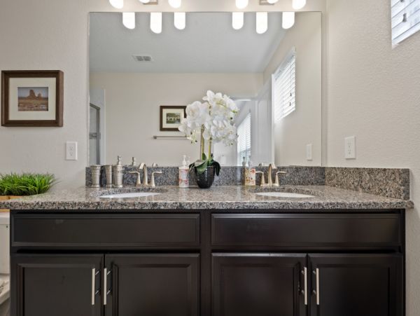 Orlando Home 954062