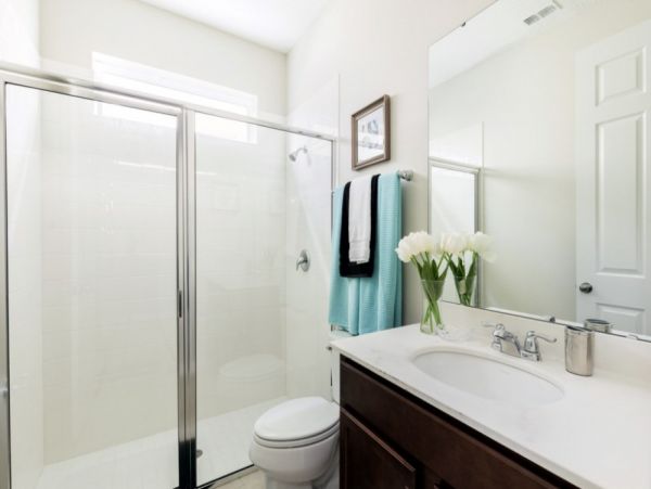 Orlando Home 954067