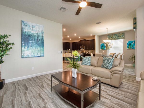 Orlando Home 954080