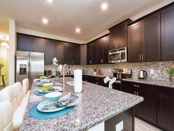 Orlando Home 954080
