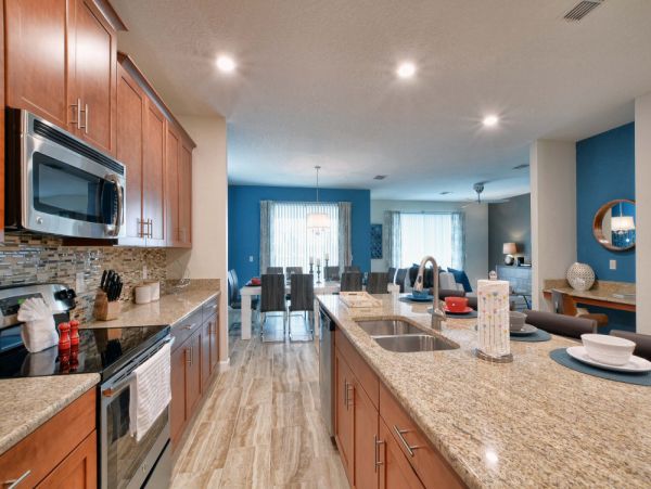 Orlando Home 954086