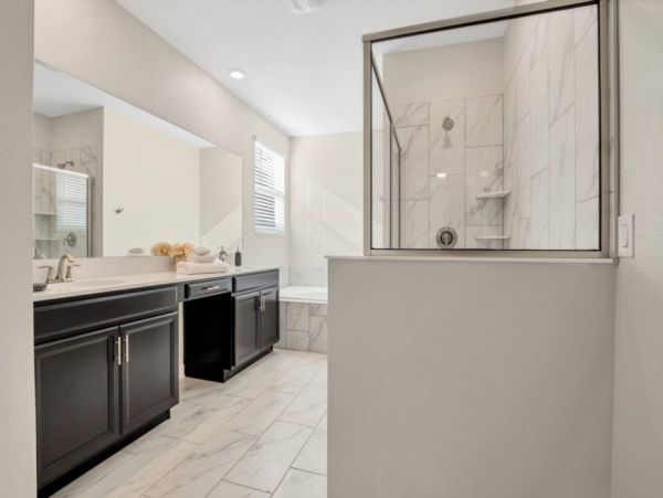 Orlando Home 954101